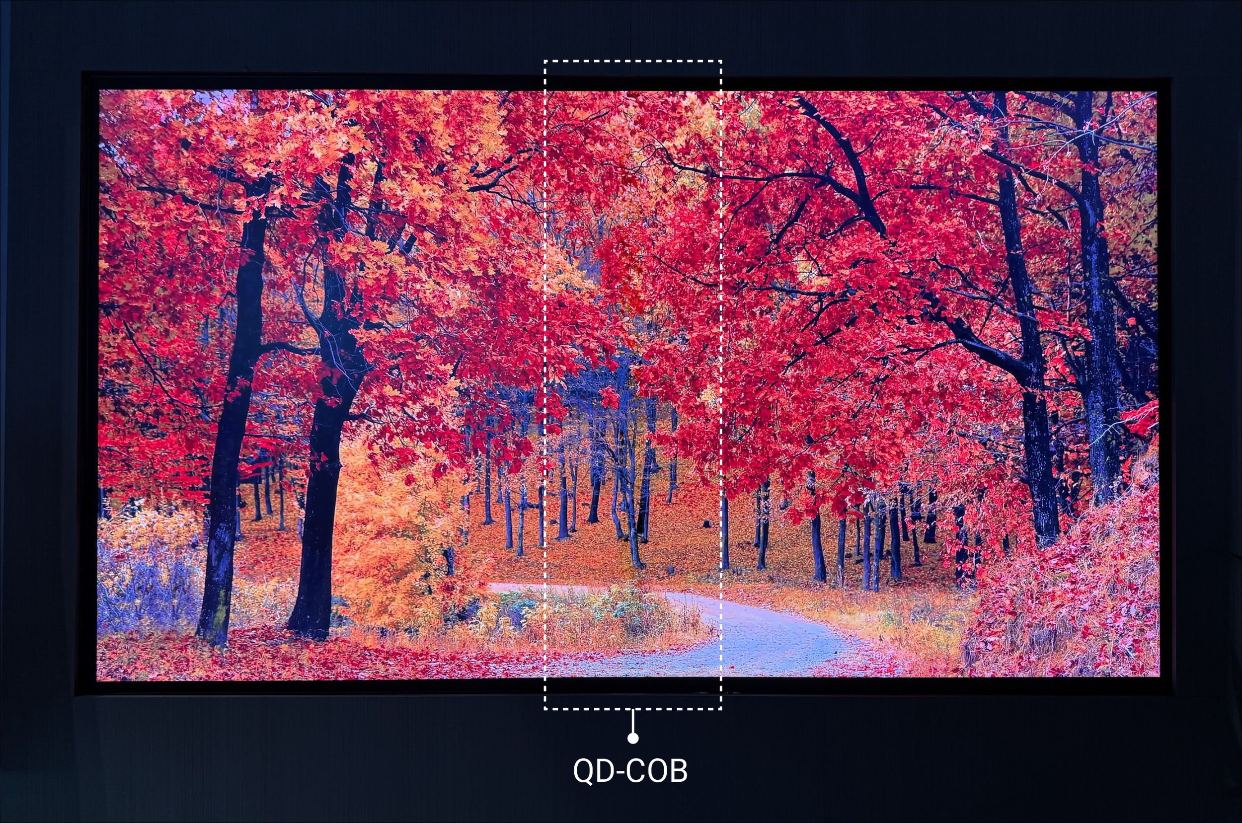 Full Color in One! Saphlux Unveils Quantum Dot MLEDs with Custom